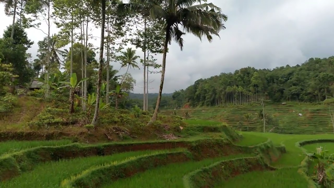 Indahnya kampung #menyatu dengan alam#fyp