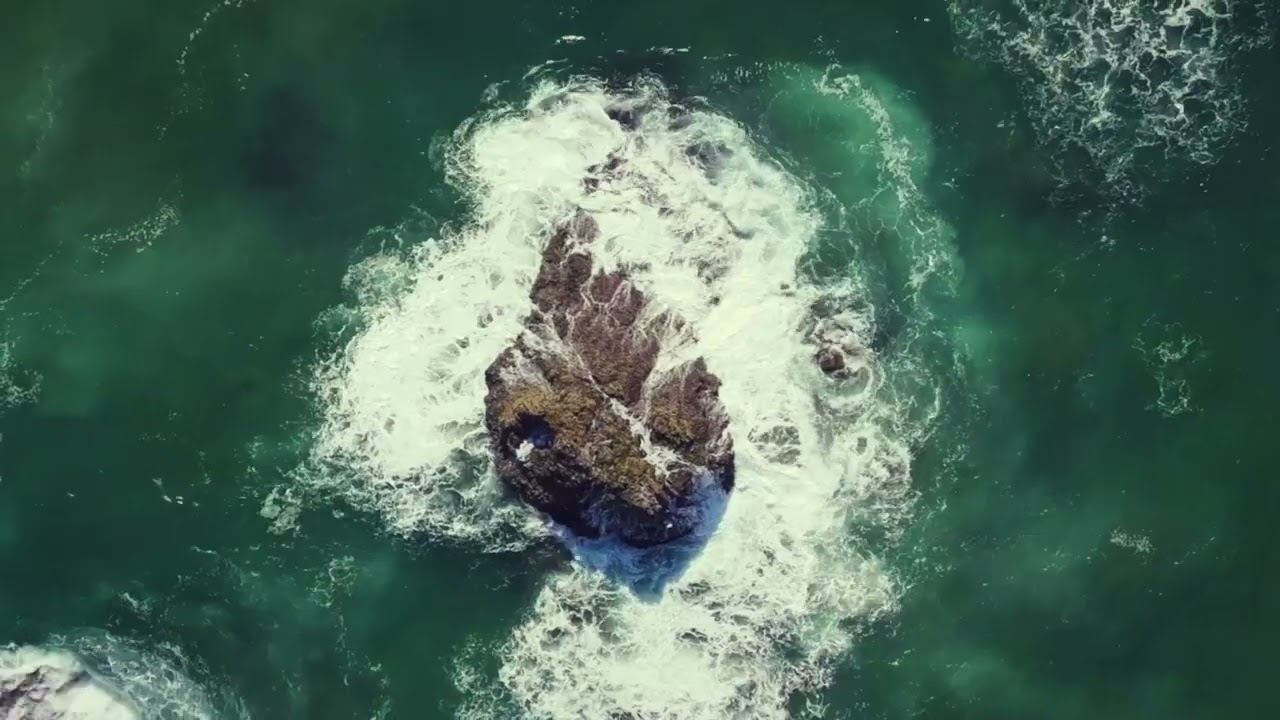 Blue Wild Films 📸🎥 creative digital production company ,  Sydney , Australia.