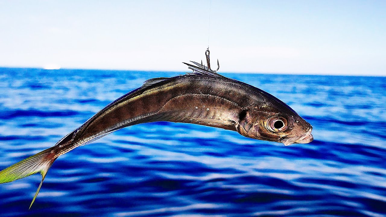 🔴Пилькер. ЛУЧШАЯ ПРИМАНКА. Вечерний Сарган, Крупная Ставрида, Морская Рыбалка в Крыму.