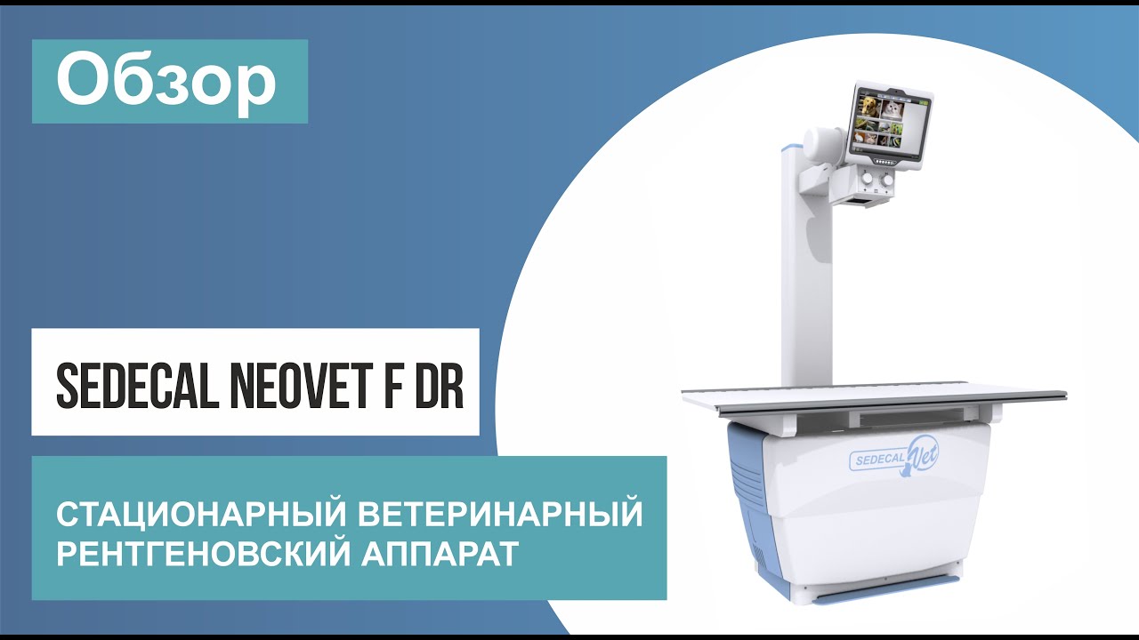 Обзор ветеринарного рентген аппарата Sedecal NEOVet F DR