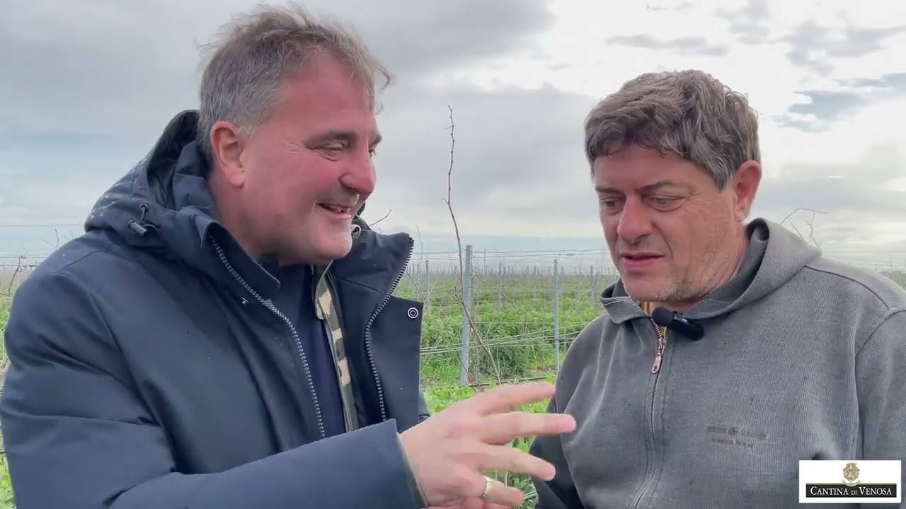 ANDREA RADIC E FRANCESCO PERILLO PRESIDENTE CANTINA DI VENOSA