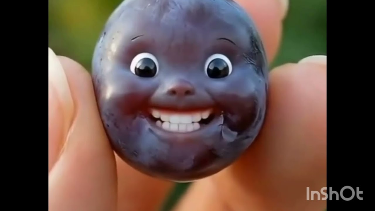 Youtubevideo // funny video