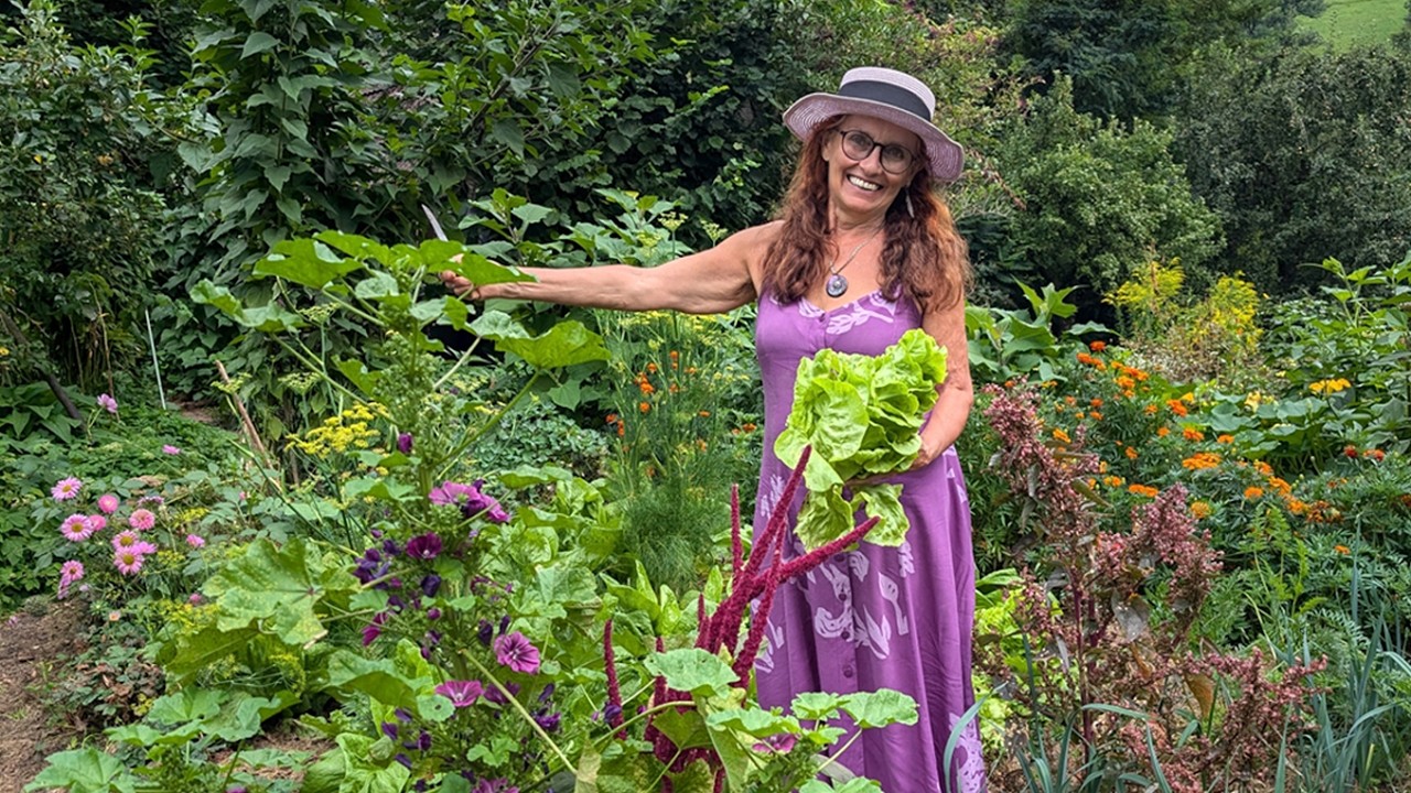 50 Jahre Gartenerfahrung: Elisabeets grüne Oase im September