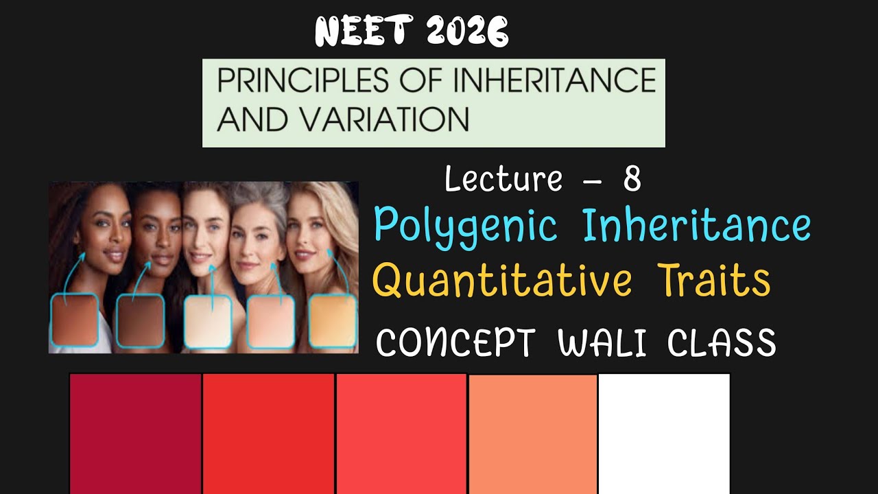 Polygenic Inheritance| Quantitative Traits| GENETICS| NCERT CLASS 12 BIOLOGY| NEET 2026