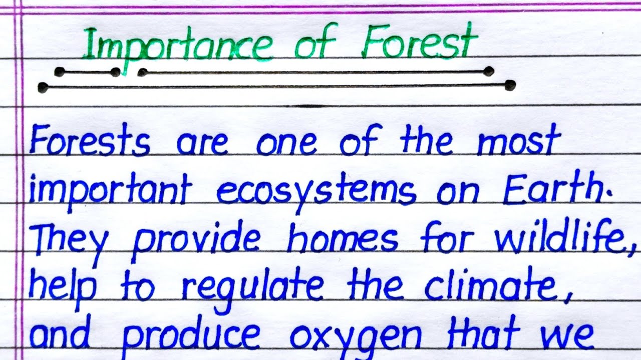 Importance of Forest Essay in English || Essay on Importance of Forest in English