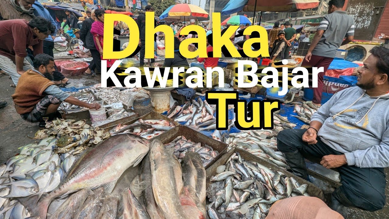ঢাকার মানুষ এসব কি খাচ্ছে!! ন্যাচারাল মাছের সন্ধানে আজ কাওরান বাজারে । KawranBazar fish market tour