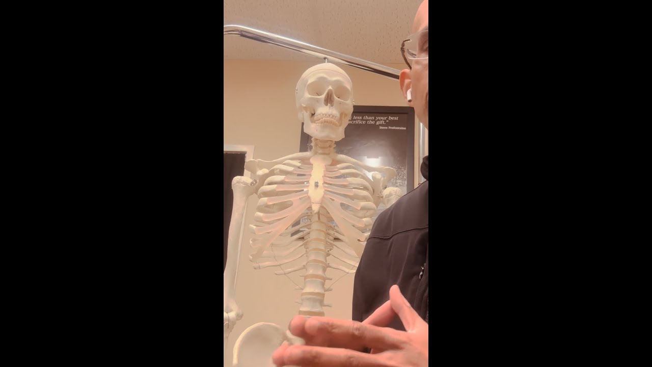 Contusions of the Sternum: What Are They?