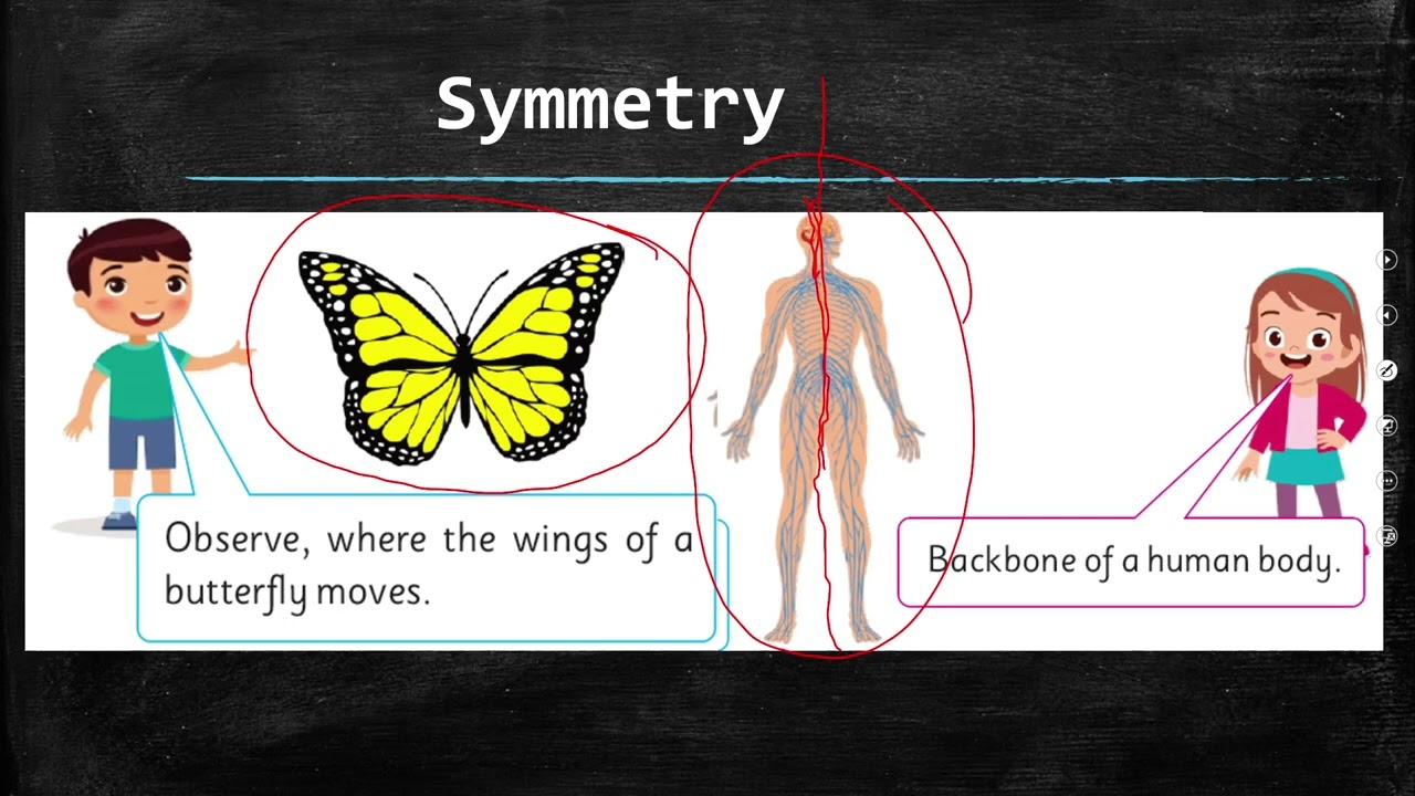 Maths Grade 5 Unit 7 Lecture 19 || SNC 2020 ||