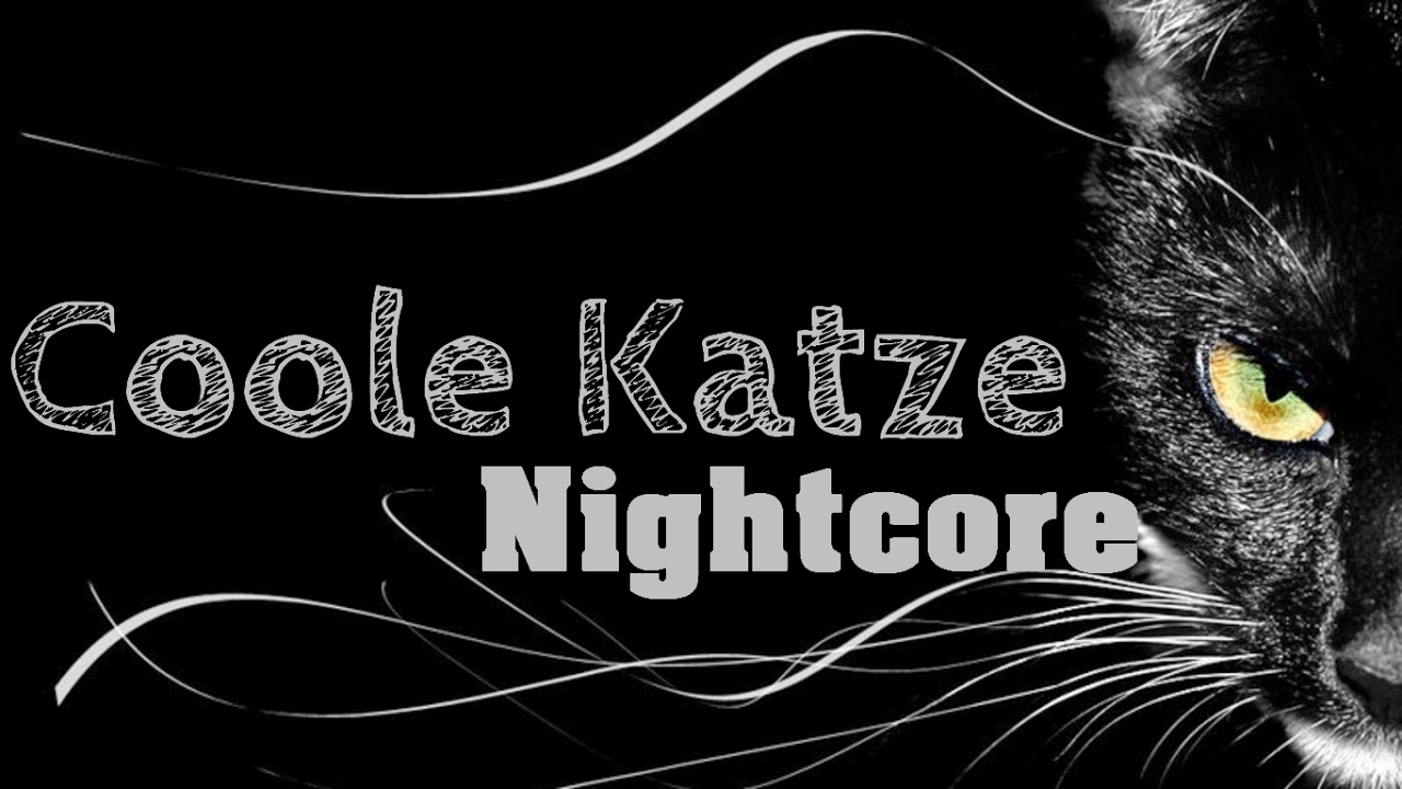Namika - Coole Katze - Nightcore (Lyrics)