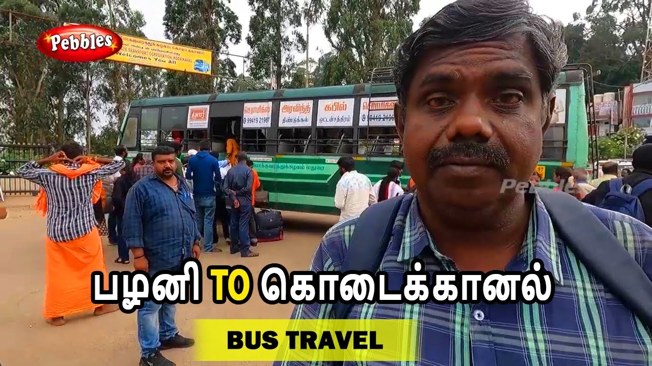 பழனி TO கொடைக்கானல் பேருந்து பயணம் | Palani to Kodaikanal Bus Route | Bus Travel Guide