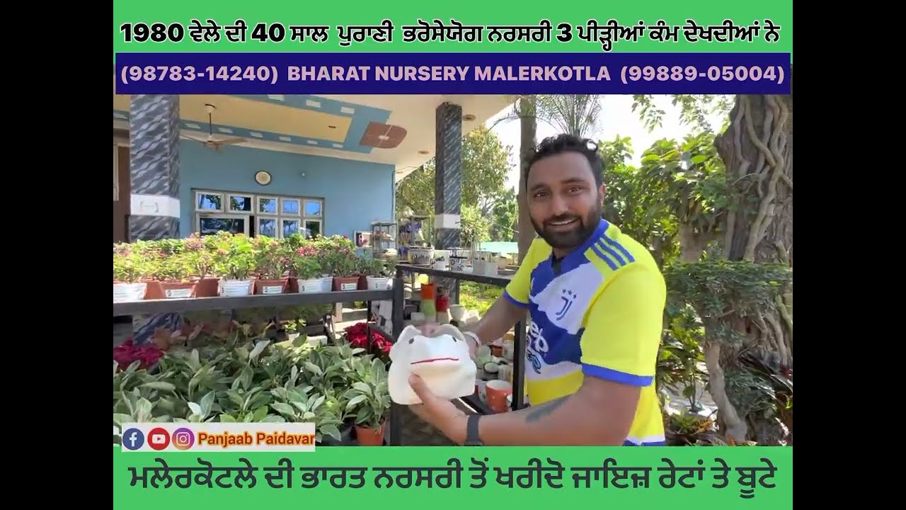 ਬੂਟਿਆਂ ਦਾ ਸਹੀ ਰੇਟ ਕਿਸਮ ਵਦੀਆ ਆ 1960 ਚ ਮਲੇਰਕੋਟਲੇ ਦਾਦੇ ਨੇ ਨਰਸਰੀ ਸੁਰੂ ਕੀਤੀ ਸੀ ਅੱਜ ਪੋਤਰੇ ਚਲਾ ਰਹੇ ਨੇ