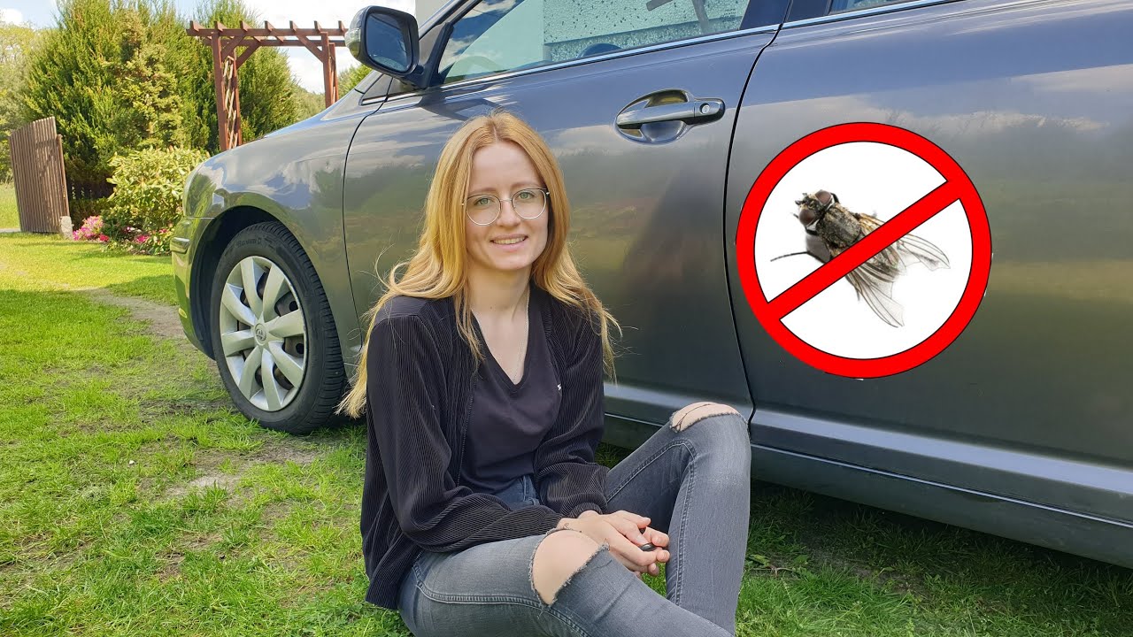 Jak usunąć owady i ptasie kupy z lakieru? Poradnik