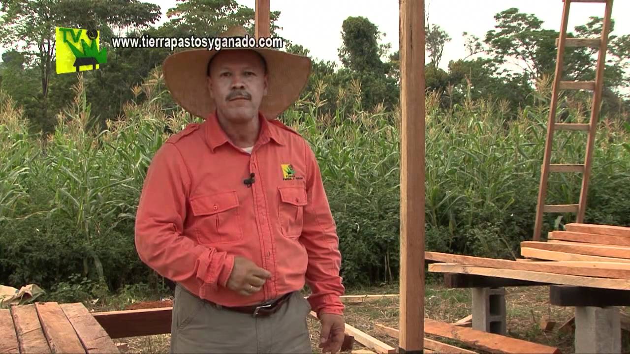 Tierra Pastos y Ganado  - Construcción de Establos1 Feb10 2012