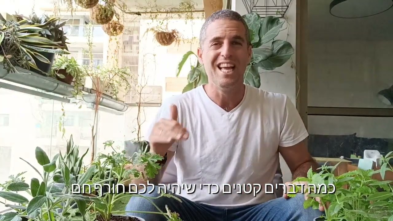 עקרונות לגידול צמחי תבלין במרפסת (הדרכה מלאה 17 דקות כולל כתוביות)