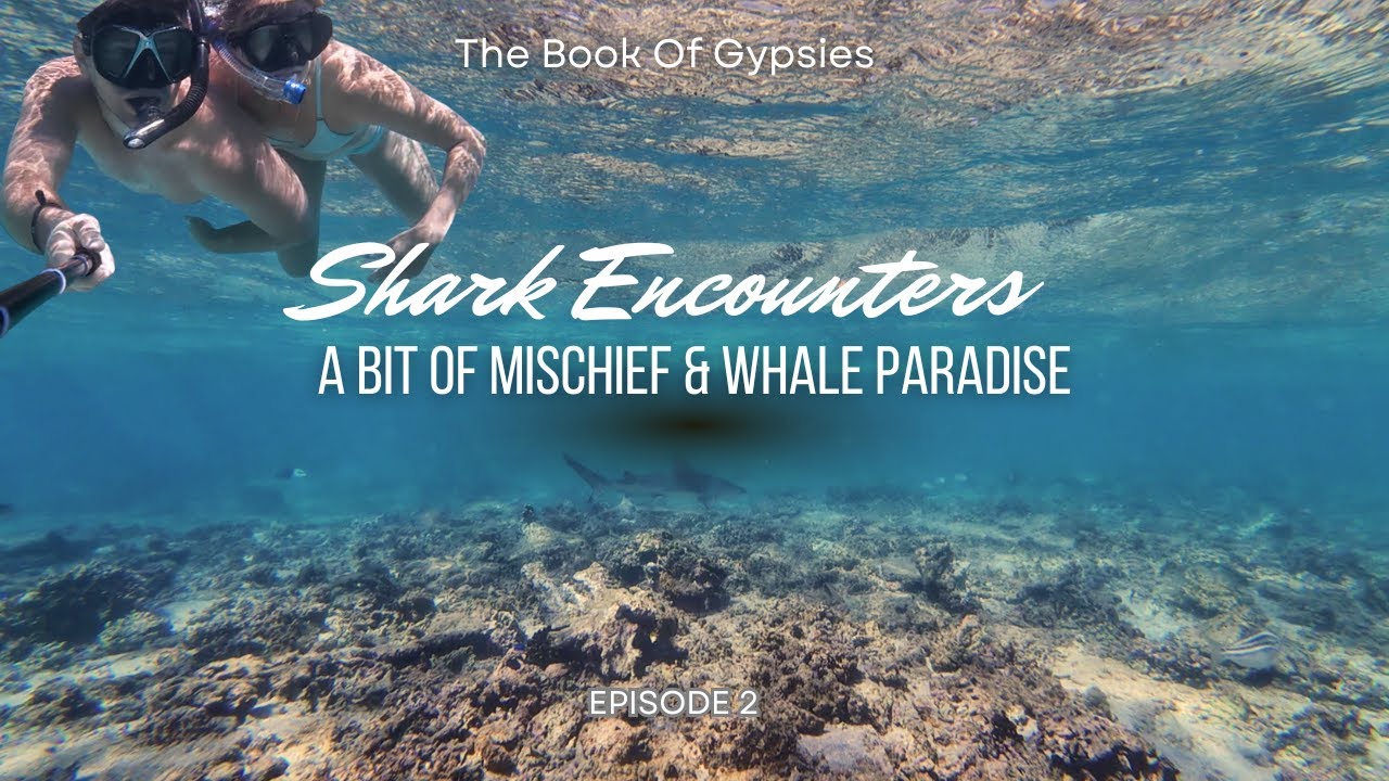 EP2 Shark Encounters, A Bit Of Mischief & Whale Paradise | The Book Of Gypsies