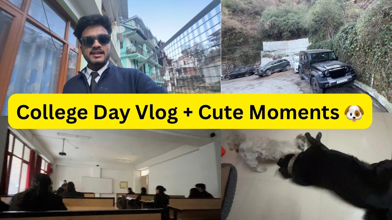 College Routine is Back! + Implement & Zena Playing Together