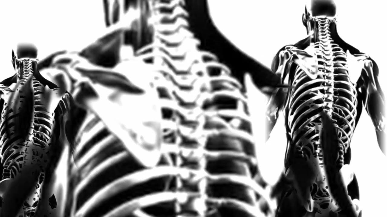 hypnoskull 'vicious scans' (rotating devices anti/techno mix)