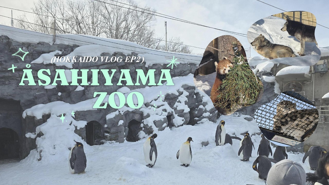 'เที่ยวสวนสัตว์อาซาฮิยามะ ฮอกไกโด (Asahiyama Zoo) | VLOG ญี่ปุ่น' Follow the (k)warm Hokkaido ep.2