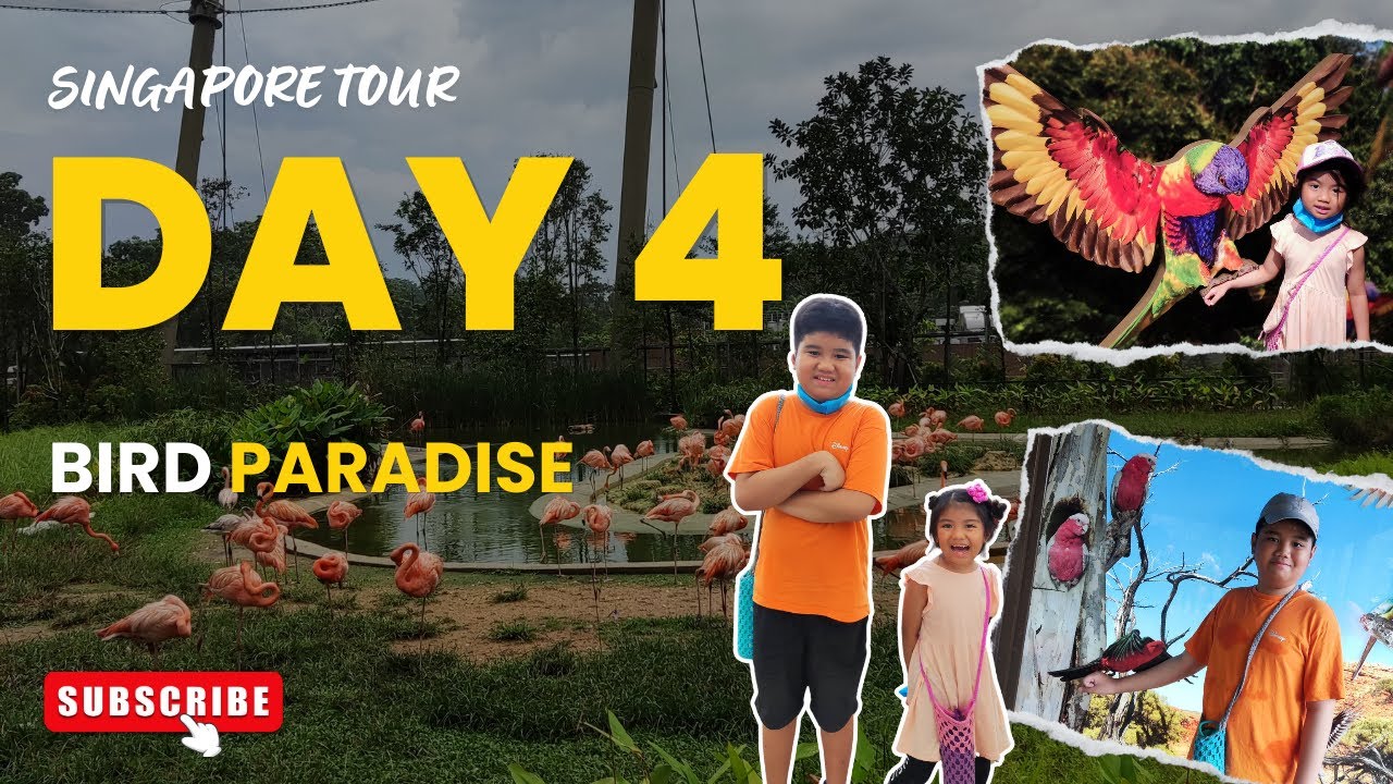 Day 4: Bird Paradise Bliss!