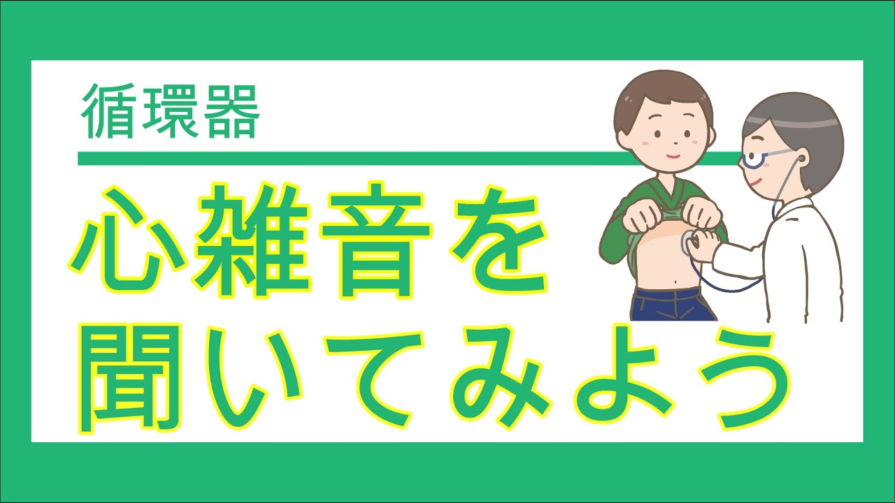 【実習・臨床で役立つ】心雑音の鑑別