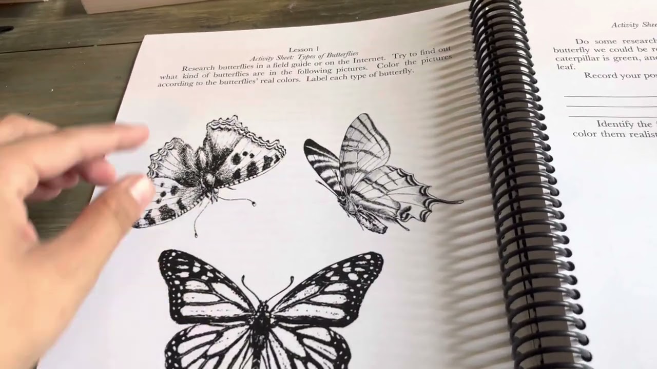 Queen Homeschool Discovering Nature Series / Charlotte Mason Homeschool Curriculum/ Natural History