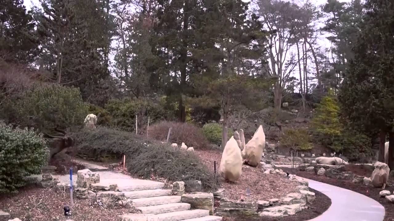 Rock Garden Rejuvenation Project