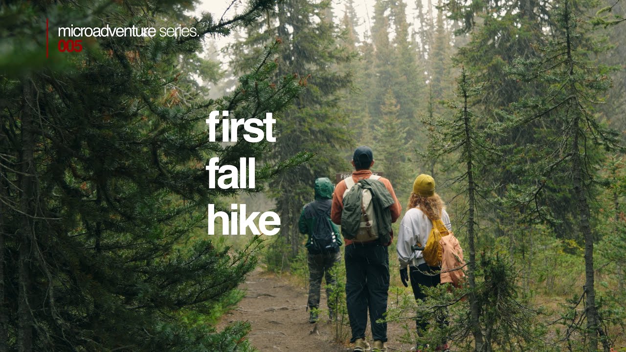 fall, larches, and snow  |  Cinematic Sony FX30