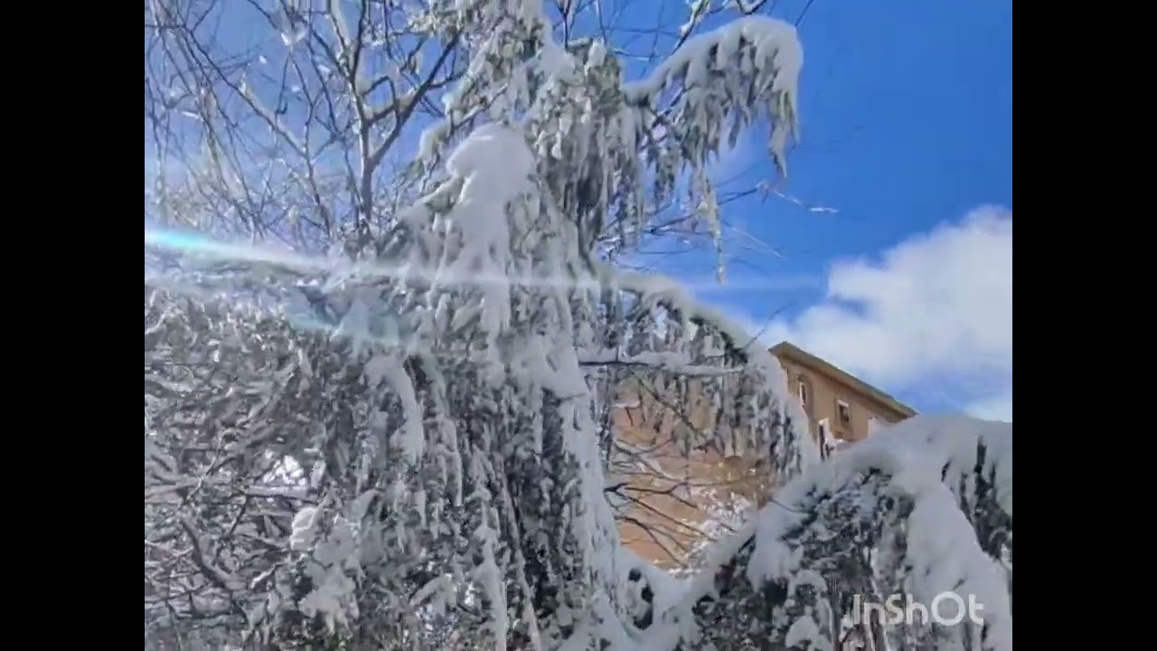 IL NEIGE SUR THENIET EL HAD 