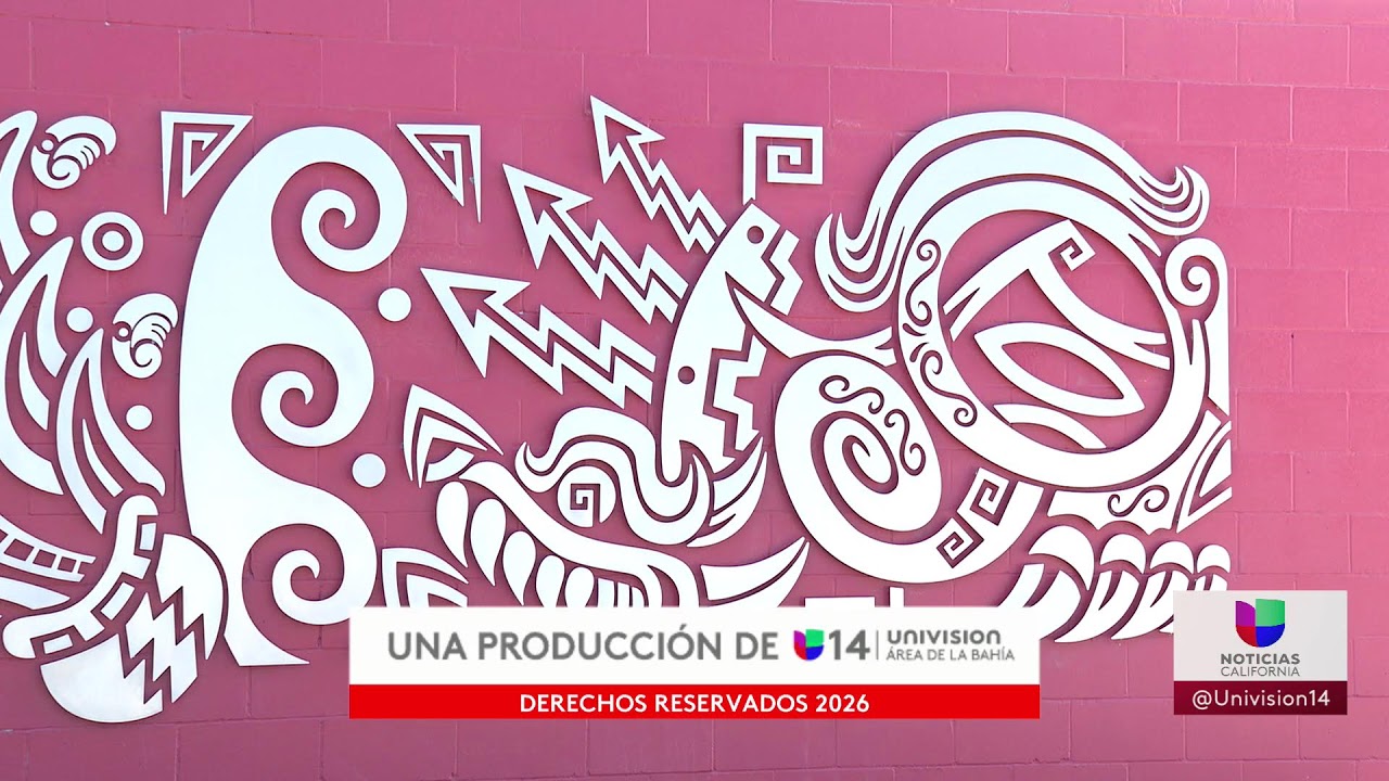 🔴 En Vivo | Aficionados se preparan para el Súper Tazón   | 11 PM | 01.31.26