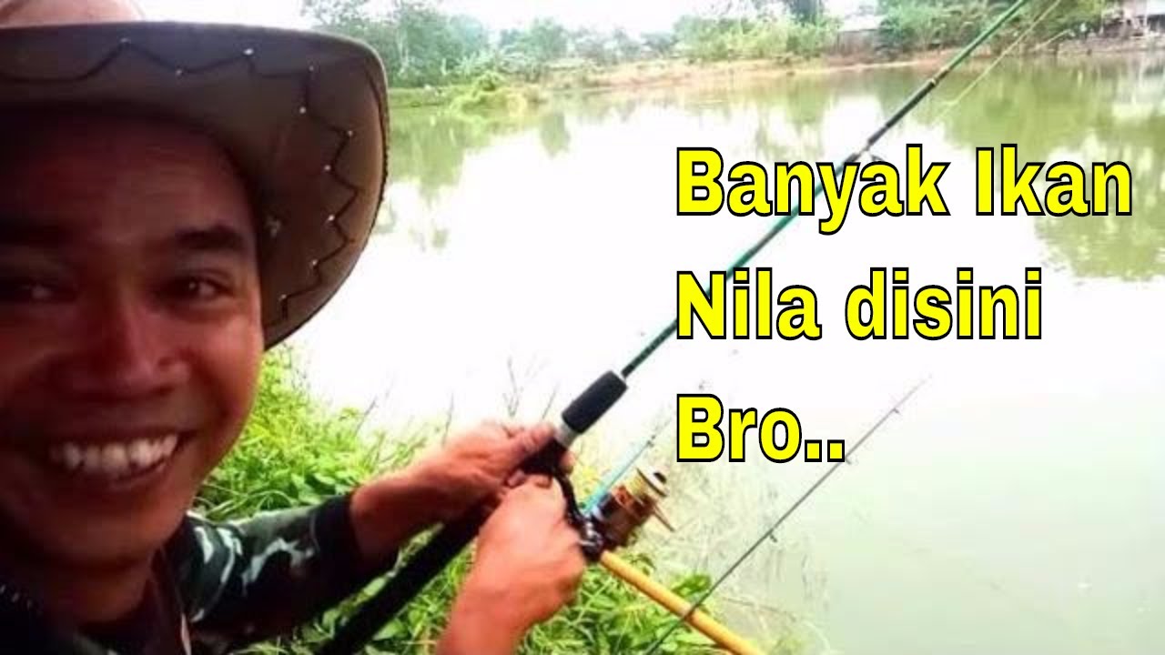 Toraja Fishing Club - Explore Lokasi Mancing Sidrap