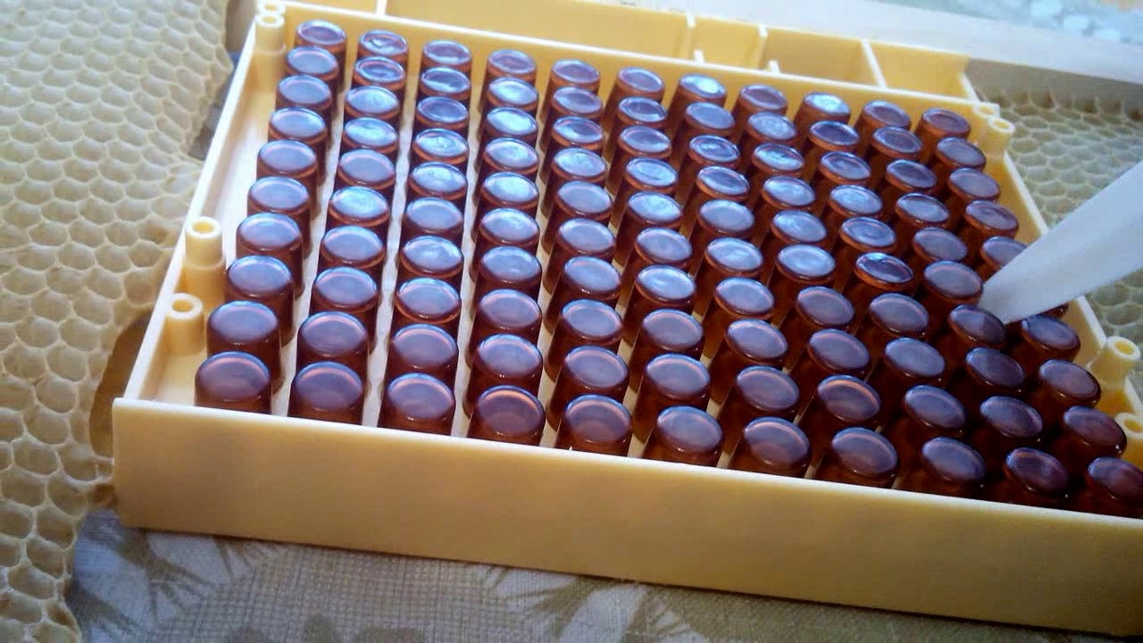 Китайская копия 