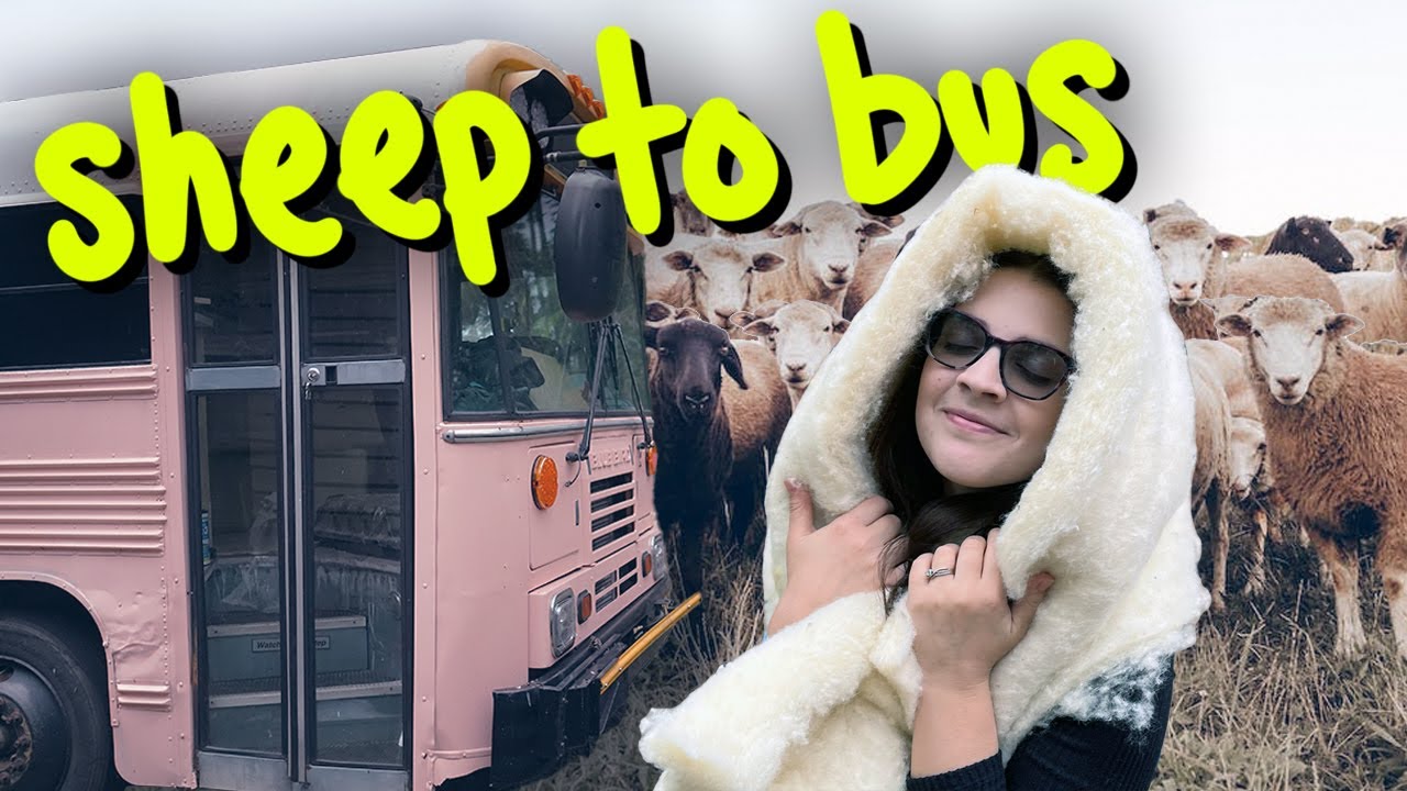 Using Natural Wool Insulation for our Bus Home