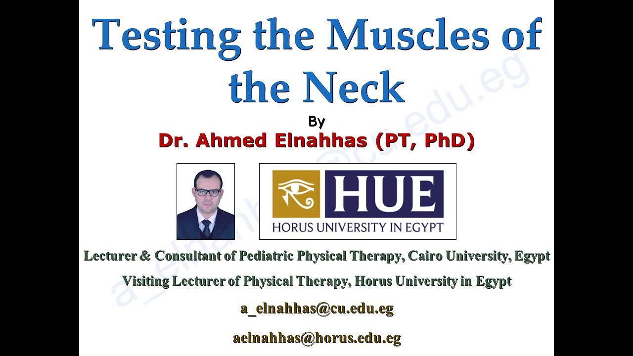 Testing the Muscles of the Neck