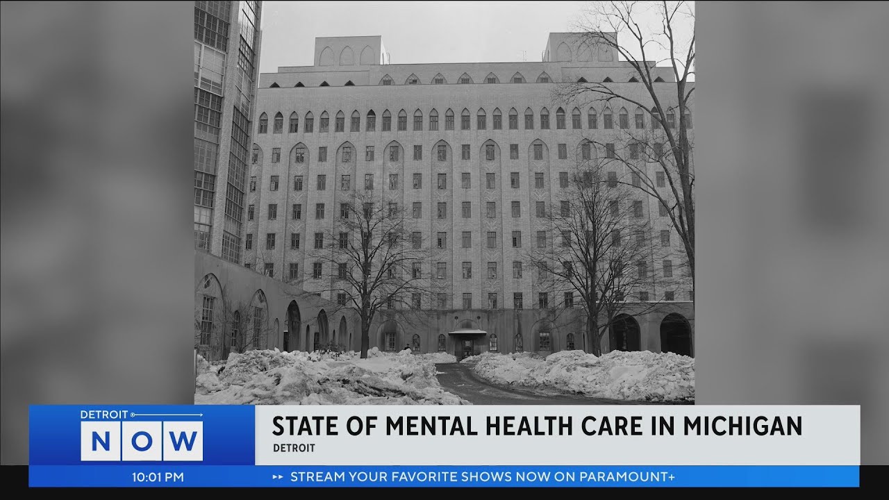 State of mental health care in Michigan