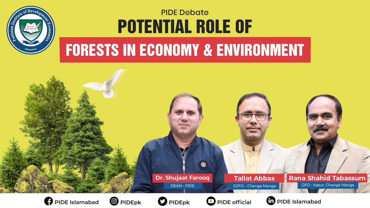Potential Role of Forest in Economy & Environment l PIDE Debate l Dr. Shujaat Farooq l Changa Manga