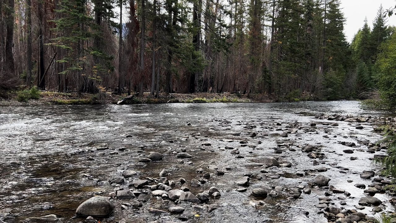 (4K UHD) HIKING HIGHLIGHTS Bumping River Dispersed Campsite #1 Shoreline Views! | Okanogan-Wenatchee