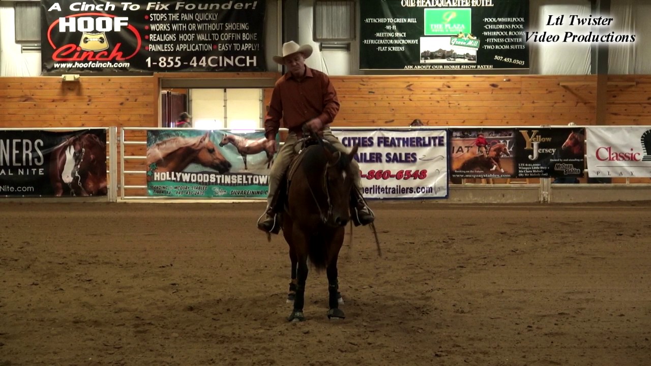Don McLaughlin & Gangster Maid - NRHA Open - Oct  28, 2016