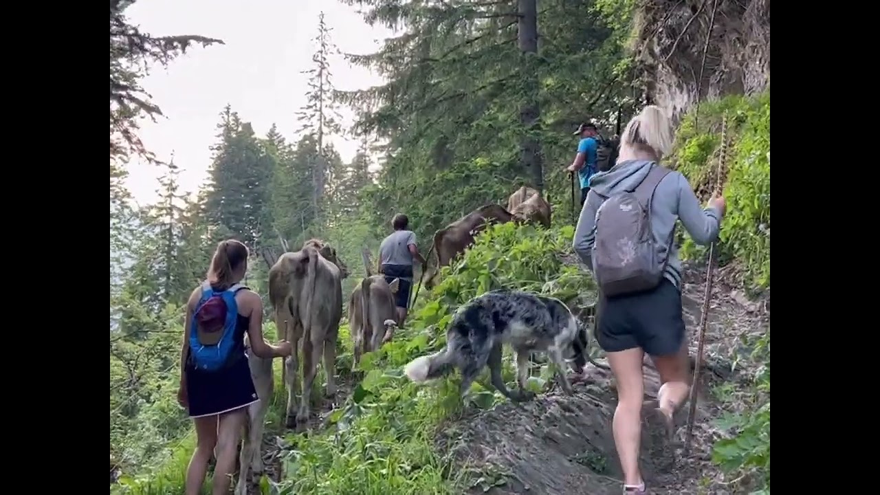 23. Juni 2023