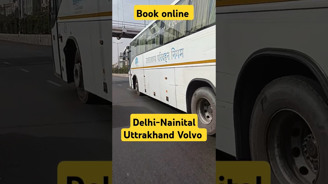 Delhi To Nainital By Bus #viral #trending #yourubeshorts #Nainital #bus