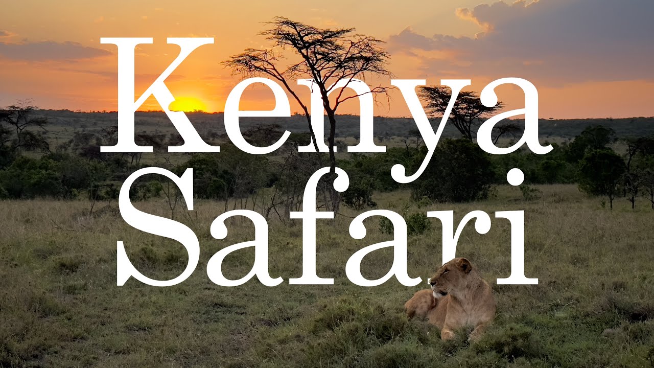 Safari | Kenya
