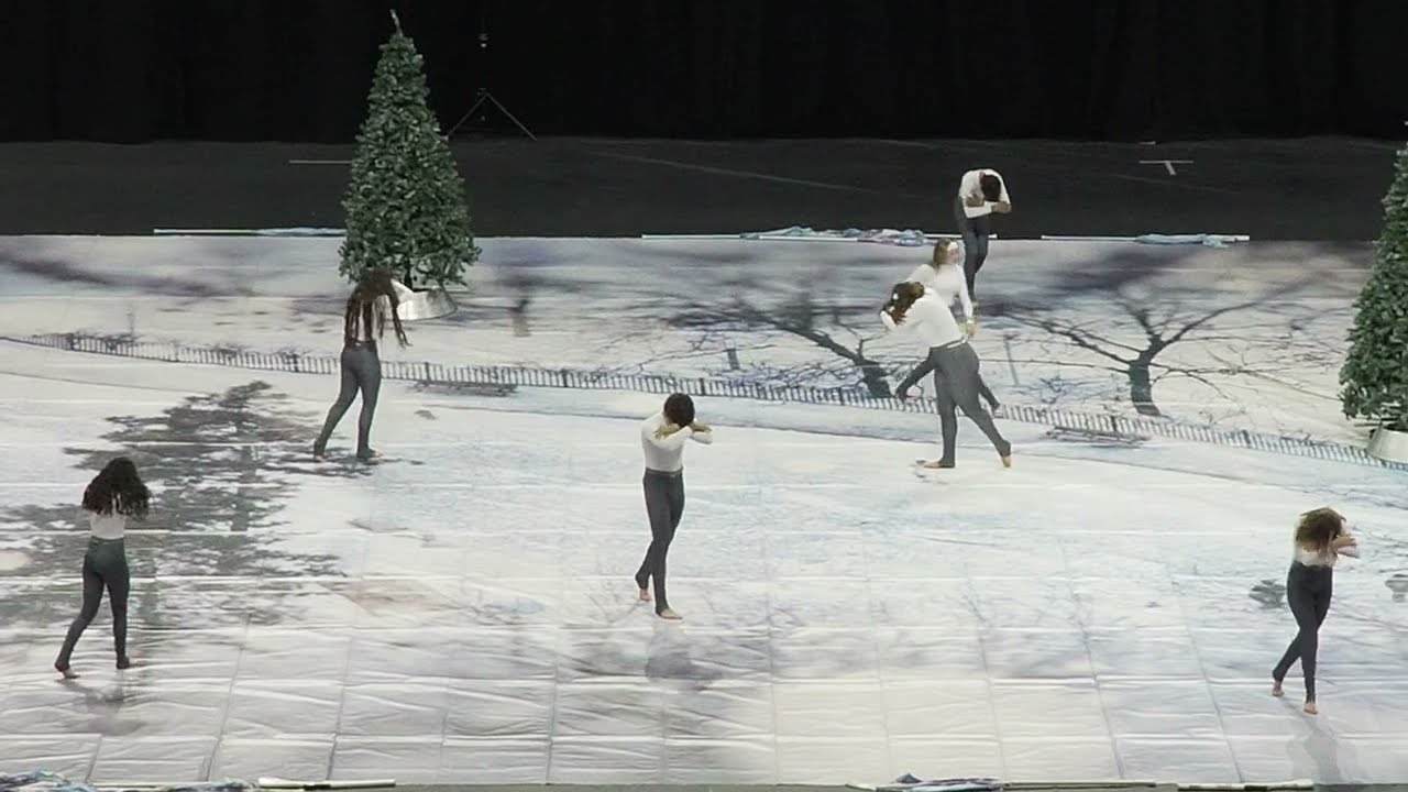 Timber Creek HS Jv Winterguard 2024