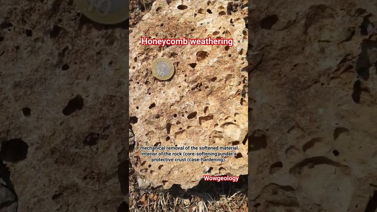 Have you seen Honeycomb weathering #shorts #viral #trending #shortvideo #tafoni #honeycomb #geology