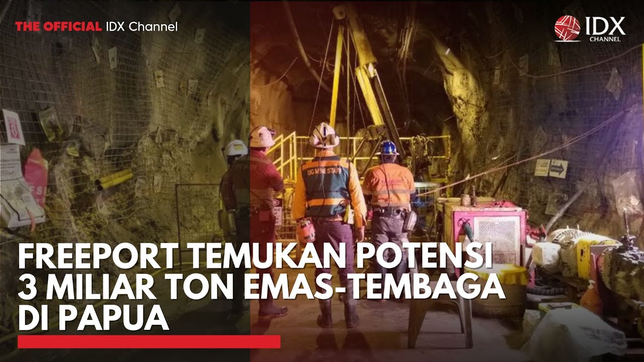 Freeport Temukan Potensi 3 Miliar Ton Emas-Tembaga di Papua | IDXC UPDATE