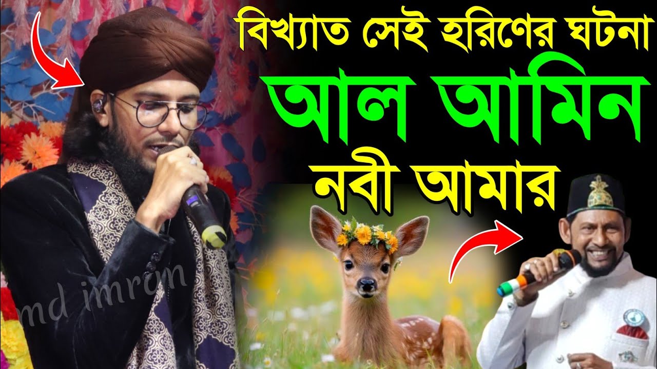 আল আমিন নবী আমার গজল┇বিখ্যাত সেই হরিণের ঘটনা এসকে হাবিবের গজল┇shilpi Md imran gojol al min nabi amar