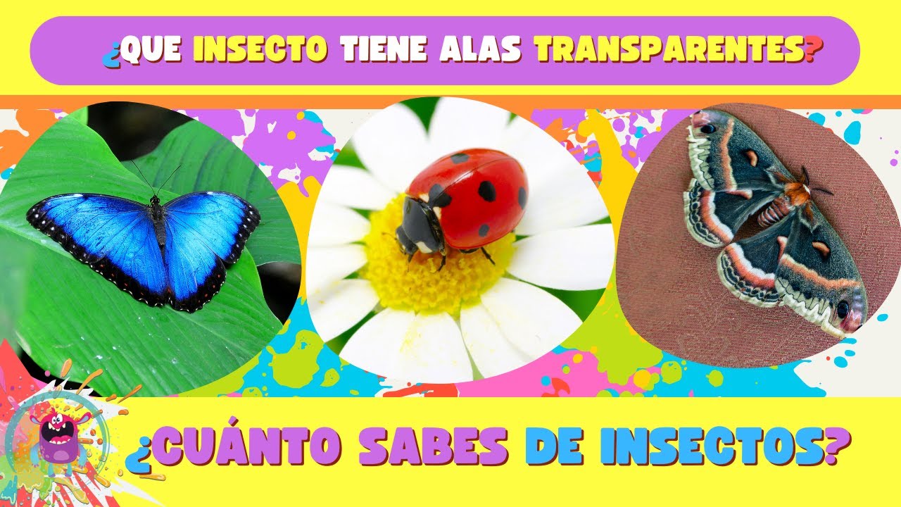 🐞 Quiz de INSECTOS 2024 - Cuánto sabes ? 🪲Nivel Difícil! Trivia Adivina cuál  solo para EXPERTOS!