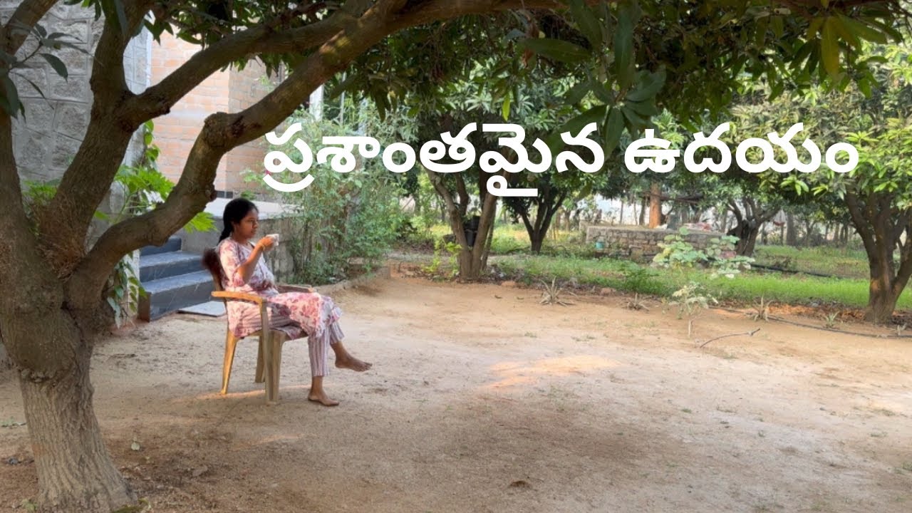 Peaceful morning at farm| వరి,కొత్తిమీర harvest।  అనుకున్న పనులన్ని అయ్యాయ్। క్యాబేజీ ,పల్లీ నాటాము