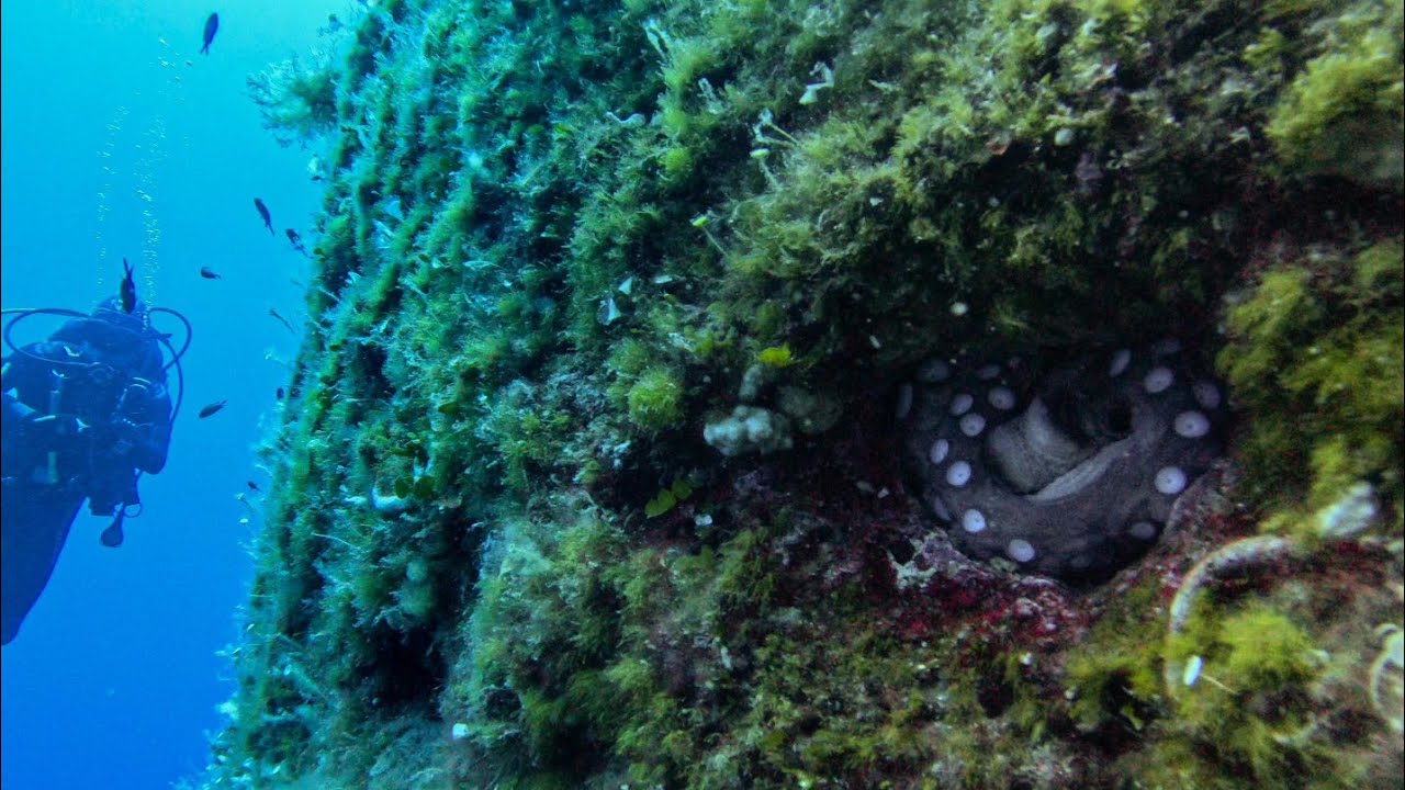 Punta delle Tre Pietre. Diving in Salina