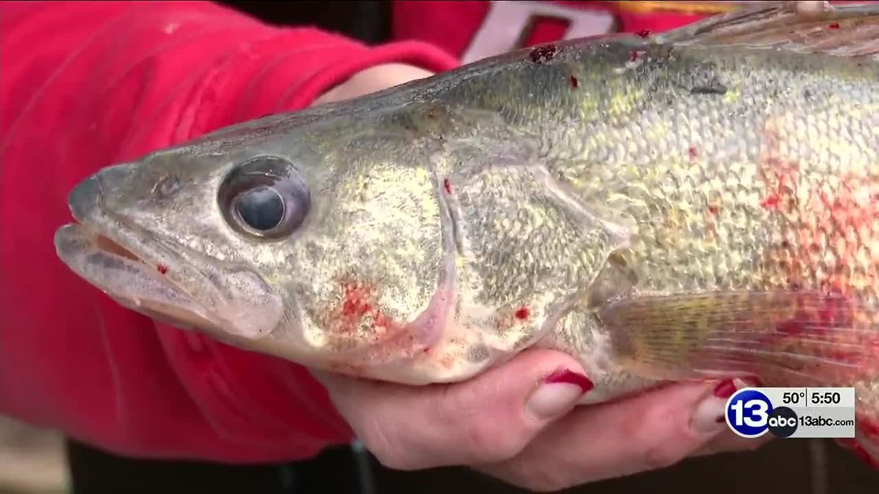 Metroparks Meetup: Annual Walleye Run