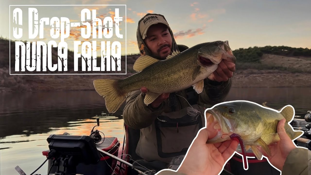 O DROP-SHOT NUNCA FALHA quando os ACHIGÃS andam manhosos👌🏼🎣