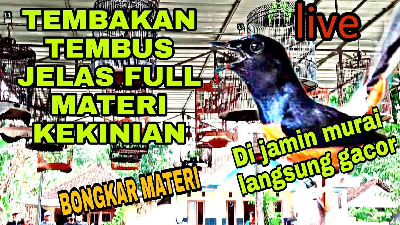 SIMULASI LOMBA MURAI BATU